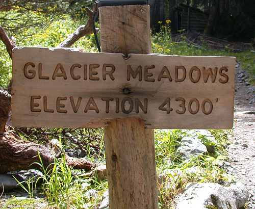 GlacierMeadows.jpg