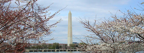 WashingtonMonumentfromtheRooseveltMemorial.jpg