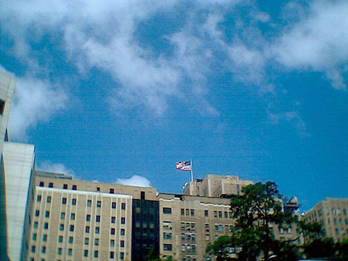 hospitalFlag.jpg